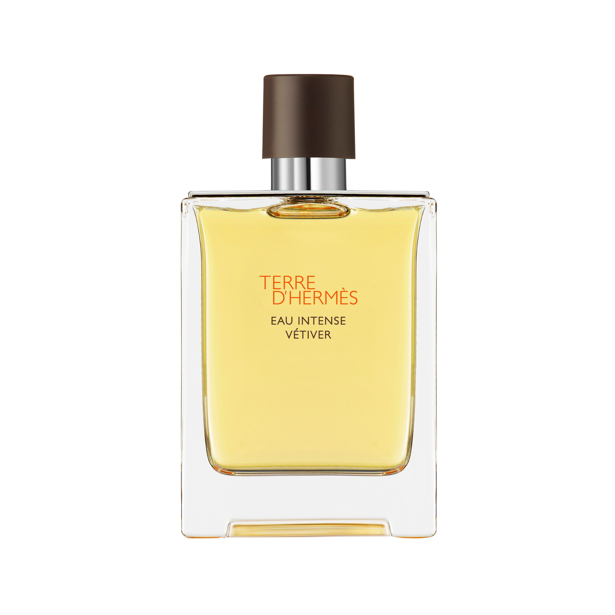 Hermès Terre d'Hermes Eau Intense Vetiver Eau de Parfum 100 ml