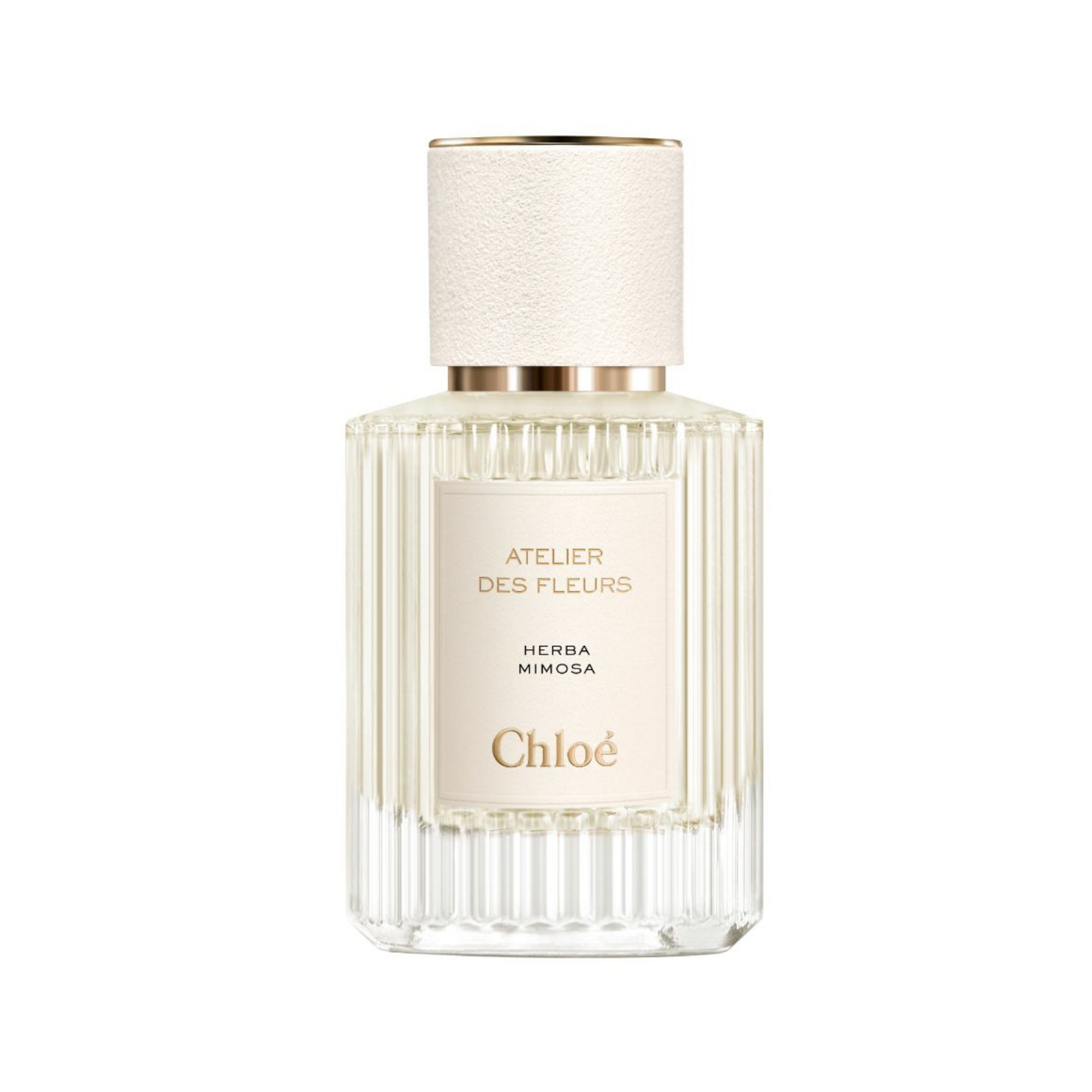 Chloé Atelier des Fleurs Herba Mimosa Eau de Parfum 50 ml