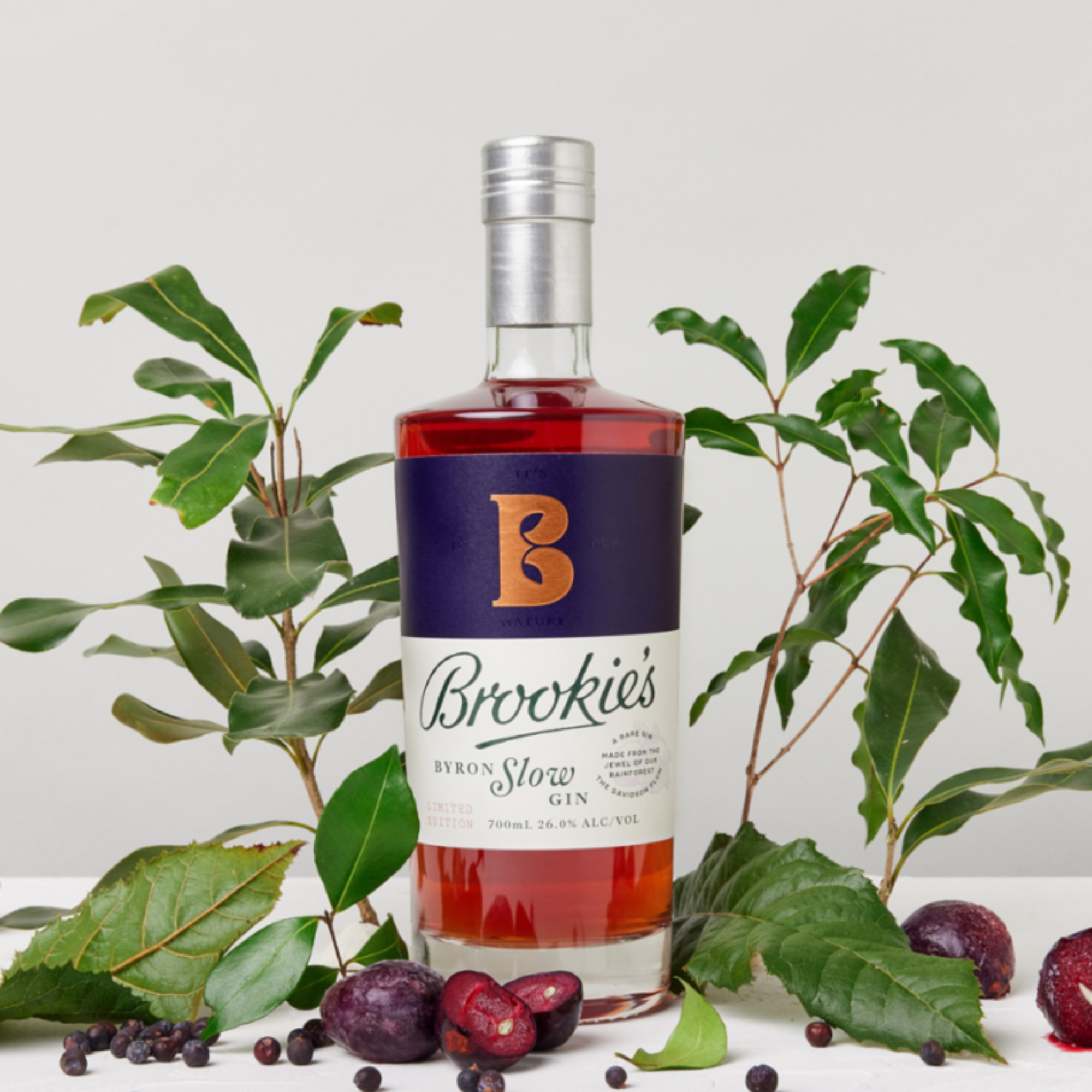 Brookie's Slow Gin 26% 0.7L